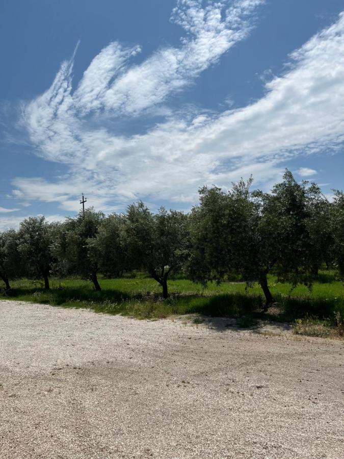 Il Casale Del Nonno Armando Villa Torrevecchia Teatina Luaran gambar